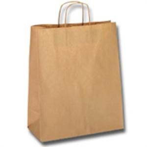 Paper Carry Bag Small (350 x 260 x 110mm) (Qty: 250)