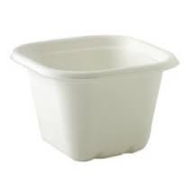 480ml White Biocane Square Takeaway Containers (Qty: 600) (130mm x 130mm x 65mm)