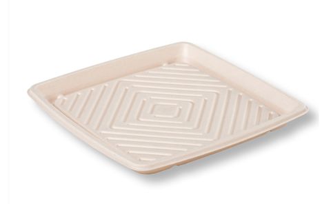 Small Sugarcane Catering Tray (250 x 250 x 40mm) (Qty: 100)