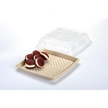 PET Lid for Small Sugarcane Catering Tray (Qty: 100)