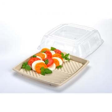 PET Lid for Medium Sugarcane Catering Tray