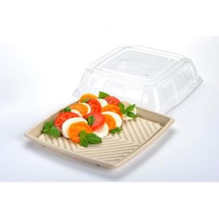 PET Lid for Medium Sugarcane Catering Tray (Qty: 100)