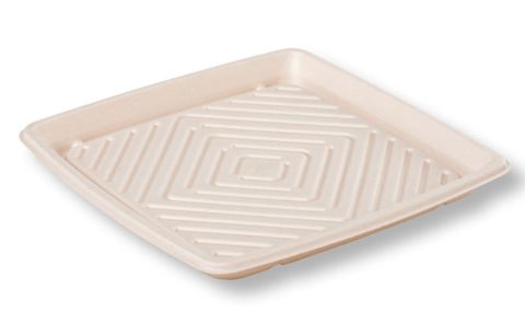 Large Sugarcane Catering Tray (400 x 400 x 40mm) (Qty: 50)