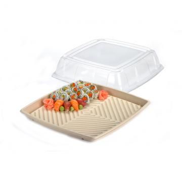 PET Lid for Large Sugarcane Catering Tray (Qty: 50)