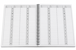 APPOINTMENT BOOK  4 COLUMN