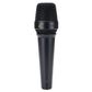 Lewitt MTP 840 DM Dynamic Supercardioid Performance Microphone