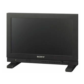 Sony LMD-A170 - 17-inch LCD Professional Monitor