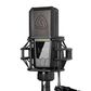 Lewitt LCT 540 SUBZERO Large-Diaphragm Cardioid Condenser Microphone