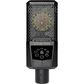 Lewitt LCT 441 FLEX Large-Diaphragm Multipattern Condenser Microphone