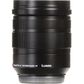 Panasonic Leica DG Vario-Elmarit 12-60mm f/2.8-4 ASPH Lens