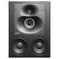 Genelec 1238DF Dual 8-in SAM Studio Monitor & RAM-L