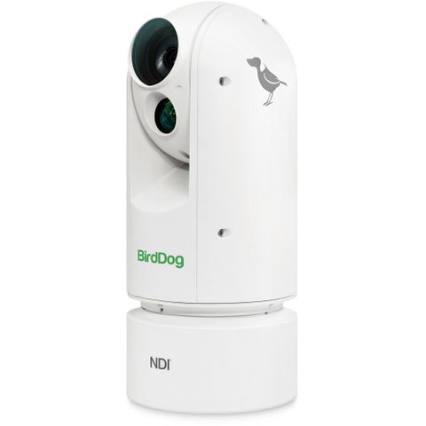 BirdDog Eyes A300 1080p Full NDI PTZ Camera (White)