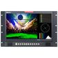 Datavideo TLM-170FR 17.3-inch ScopeView Monitor 7U Rackmount