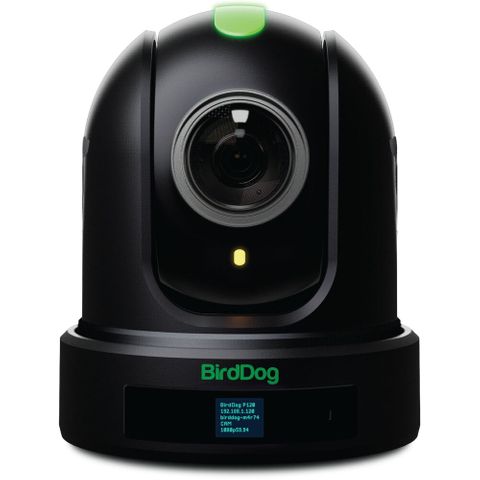 BirdDog P110 1080p NDI PTZ Camera with 12x Zoom - Black & White