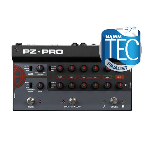 Radial PZ-Pro 2Ch Acoustic Preamp w dual EQ, 48V mic  in, DI