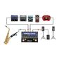 Radial Voco- Loco Effects Switcher for Voice or Instrument