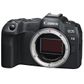 Canon EOS R8 Mirrorless Camera - Body Only