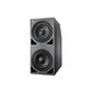 Neumann KH 870 G  Active Subwoofer - Dual 10