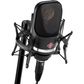 Neumann TLM 107 Studio Microphone Nickel/Black