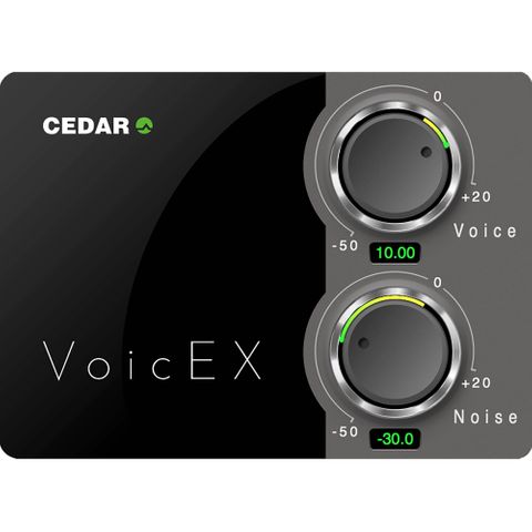 CEDAR Audio VoicEX Voice Extractor