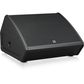 Turbosound TFM152M-AN Co-axial 2500W 2-Way 15" Stage Monitor