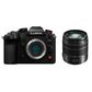 Panasonic Lumix GH6 Camera with 14-140mm Lumix Lens Kit