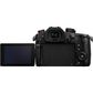Panasonic Lumix GH5 II Mirrorless Camera with Lumix G 14-140mm Lens