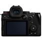 Panasonic Lumix G9II  Mirrorless Camera with Leica 12-60mm Lens