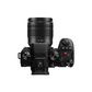 Panasonic Lumix G9II Mirrorless Camera with Lumix 12-60mm Lens