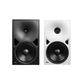 Genelec 8380A Three-way Midfield SAM Main Monitor - Black and White