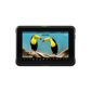 Atomos Shinobi 7 RX