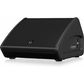 Turbosound TFM122M Passive Co-axial 350W 2-Way  12" Stage Monitor