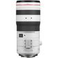 Canon RF 70-200mm f/2.8L IS USM Z Lens -  Black and White