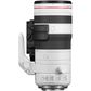 Canon RF 70-200mm f/2.8L IS USM Z Lens -  Black and White