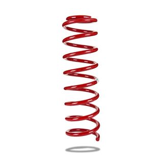 Trakryder Coil Spring