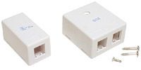 2-way CAT6 surface mount outlet