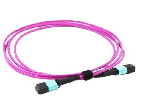 1m 12 Core MPO Female to Female OM4 Fibre Trunk Cable Type B