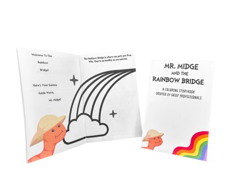Mr. Midge & the Rainbow Bridge