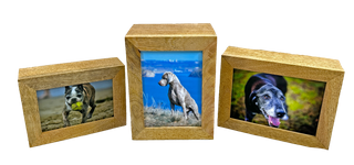 Photo Urns