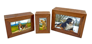 Premium Sheesham Photo Frame Urn - Large - 8 pcs