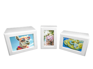 Whitewash Photo Urn - Large - 218CI - 8 pcs