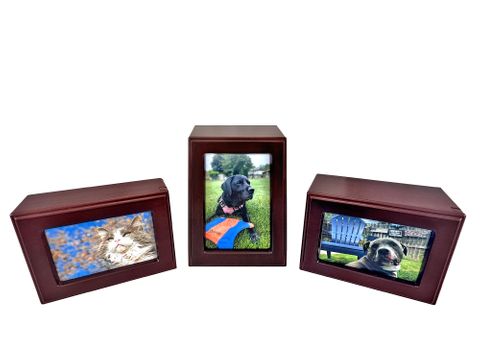 Redwood Economy Photo Urn