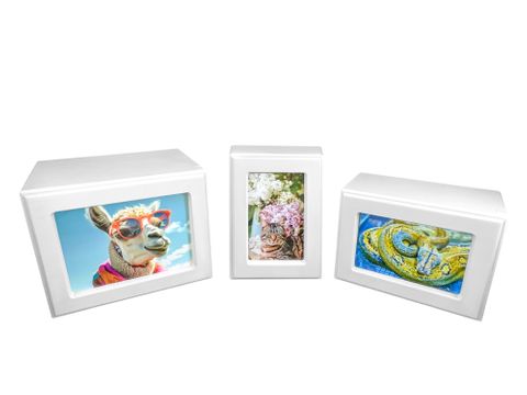 Whitewash Economy Photo Urn