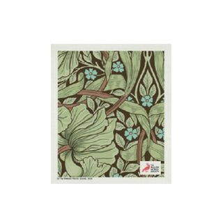 WM SWEDISH DISH CLOTH - PIMPERNEL GREEN