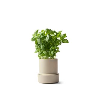 CRUSHGRIND BILLUND SELF WATERING POT-CUMIN