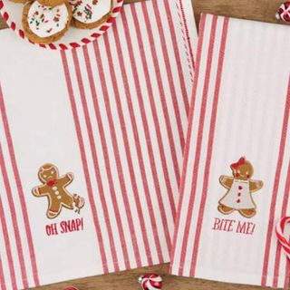 DII SPICY GINGERBREAD EMBELLISHED DISH TOWEL