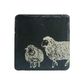 SELBRAE HOUSE SINGLE SLATE COASTER 11X11CM -SHEEP