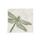 SELBRAE HOUSE SINGLE STONE COASTER 10X10CM -DRAGONFLY