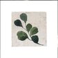 SELBRAE HOUSE SINGLE STONE COASTER 10X10CM -FLORA