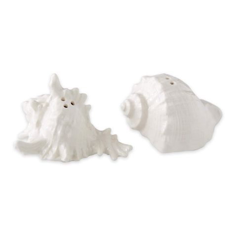 DII CERAMIC SEASHELLS SALT & PEPPER SET